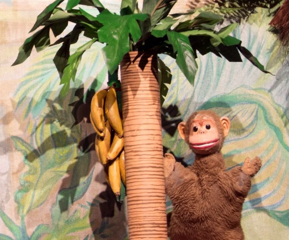 Gwen Bonar - Monkey from Monkey and the Pirate